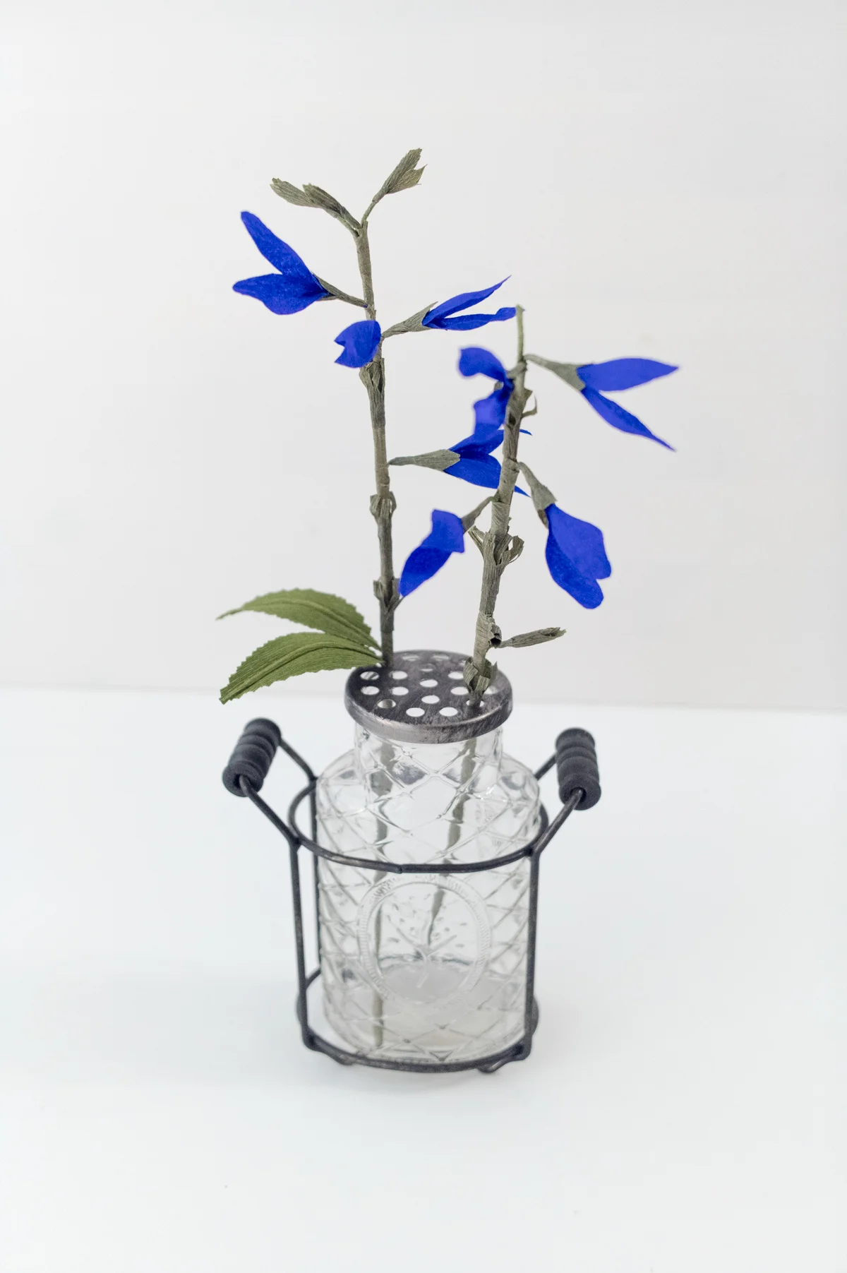 DXO_5610_lr.jpg
