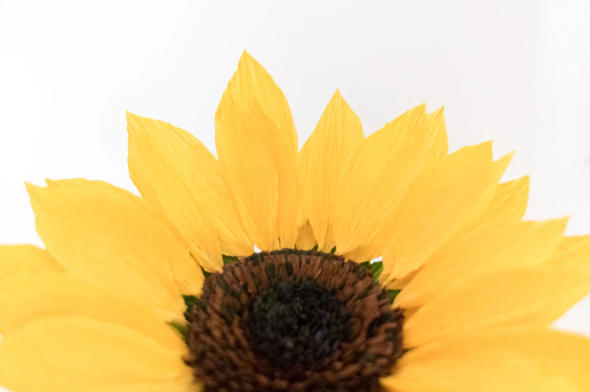 DXO_3696.jpg