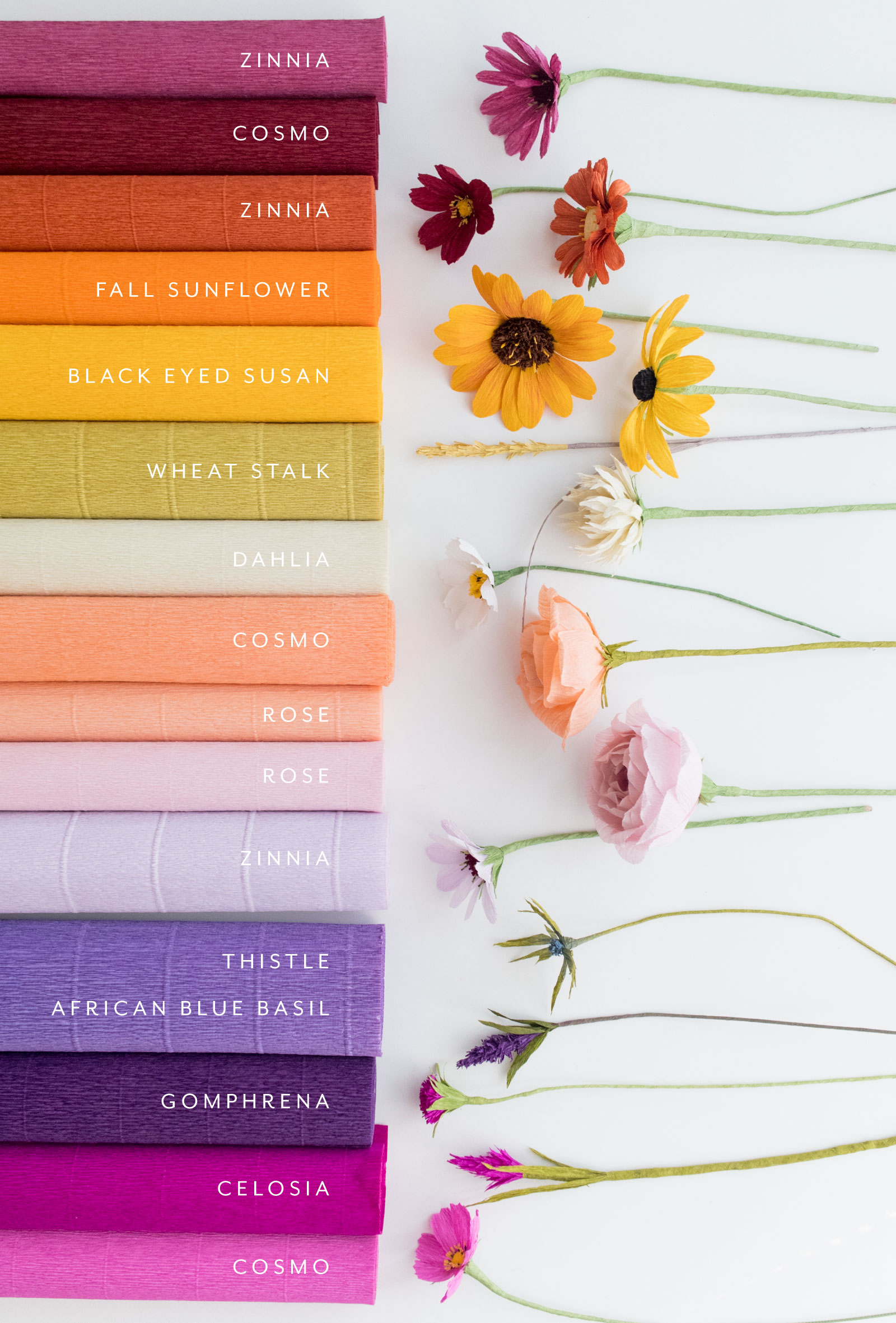Paper Rose Co Fall Collection Ingredients.jpg
