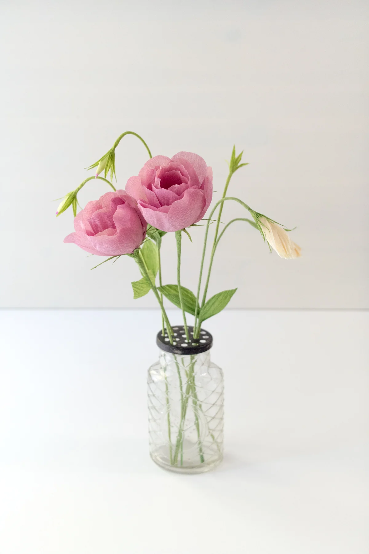 DXO_6217_web.jpg