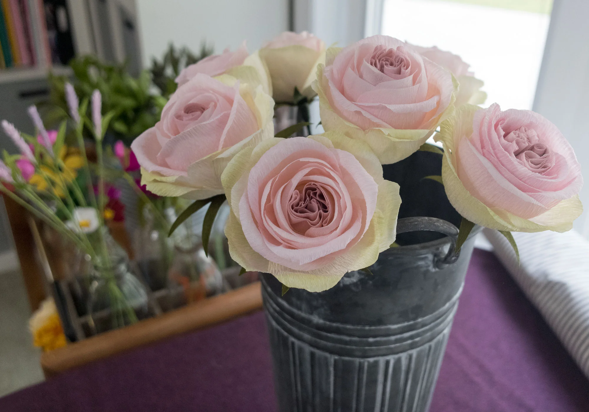 DXO_6520_header.jpg