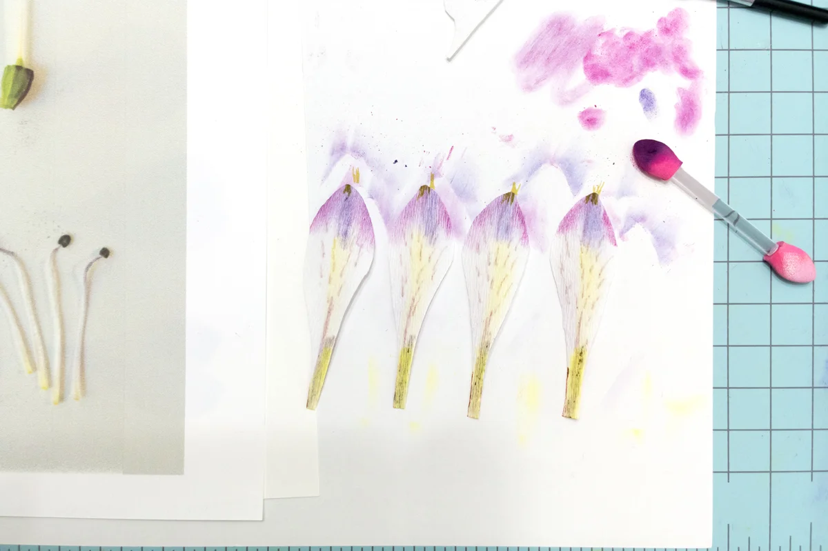Color application with pastels. 