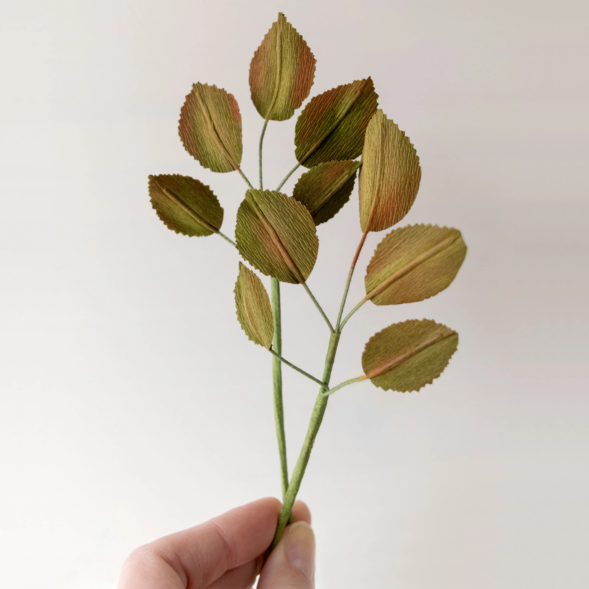 Detail of shading on the rose leaves above.