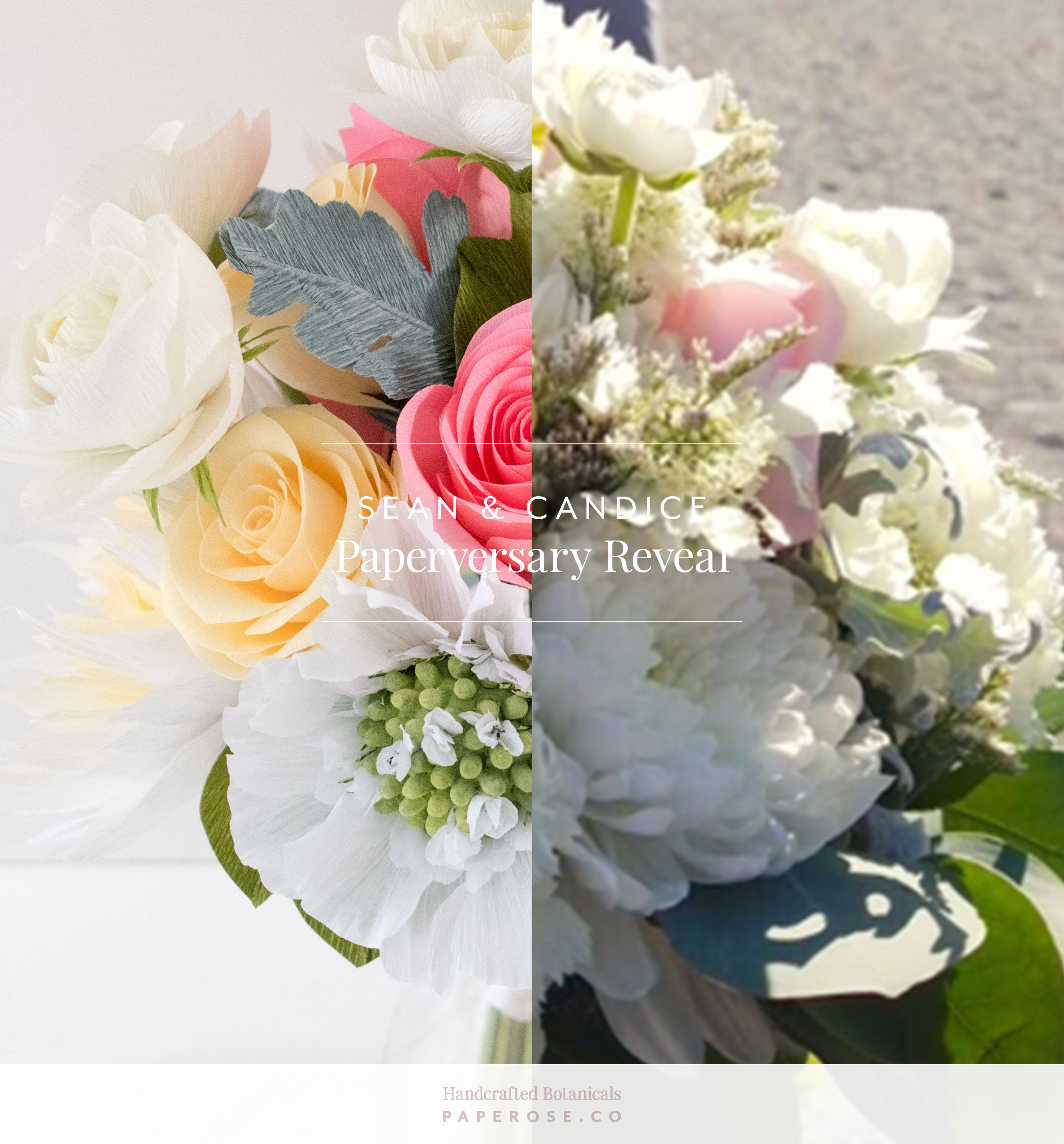PaperRoseCo_Paperversary_Sean_Split1.jpg
