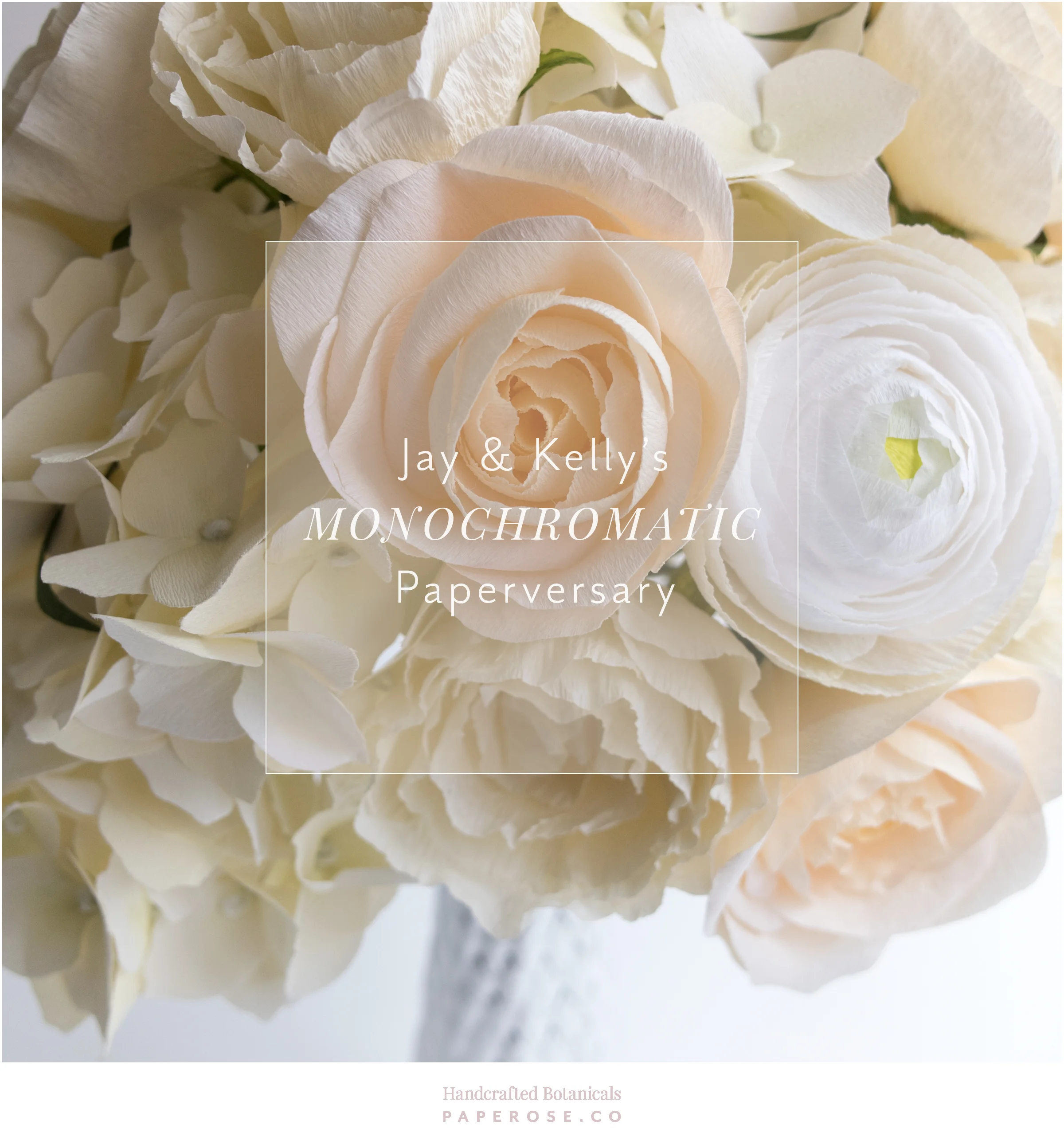 PaperRoseCo_Jay-Kelly_Header.jpg