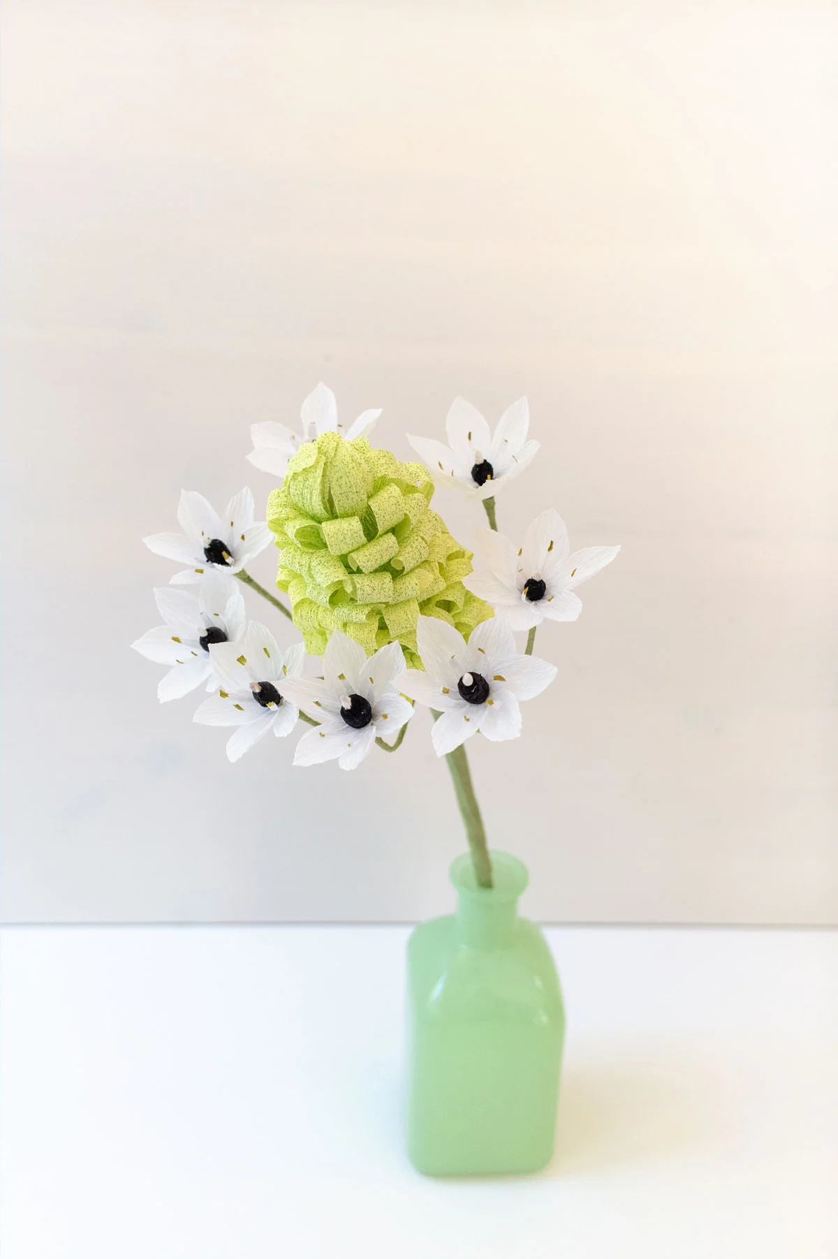 Star of Bethlehem Flower