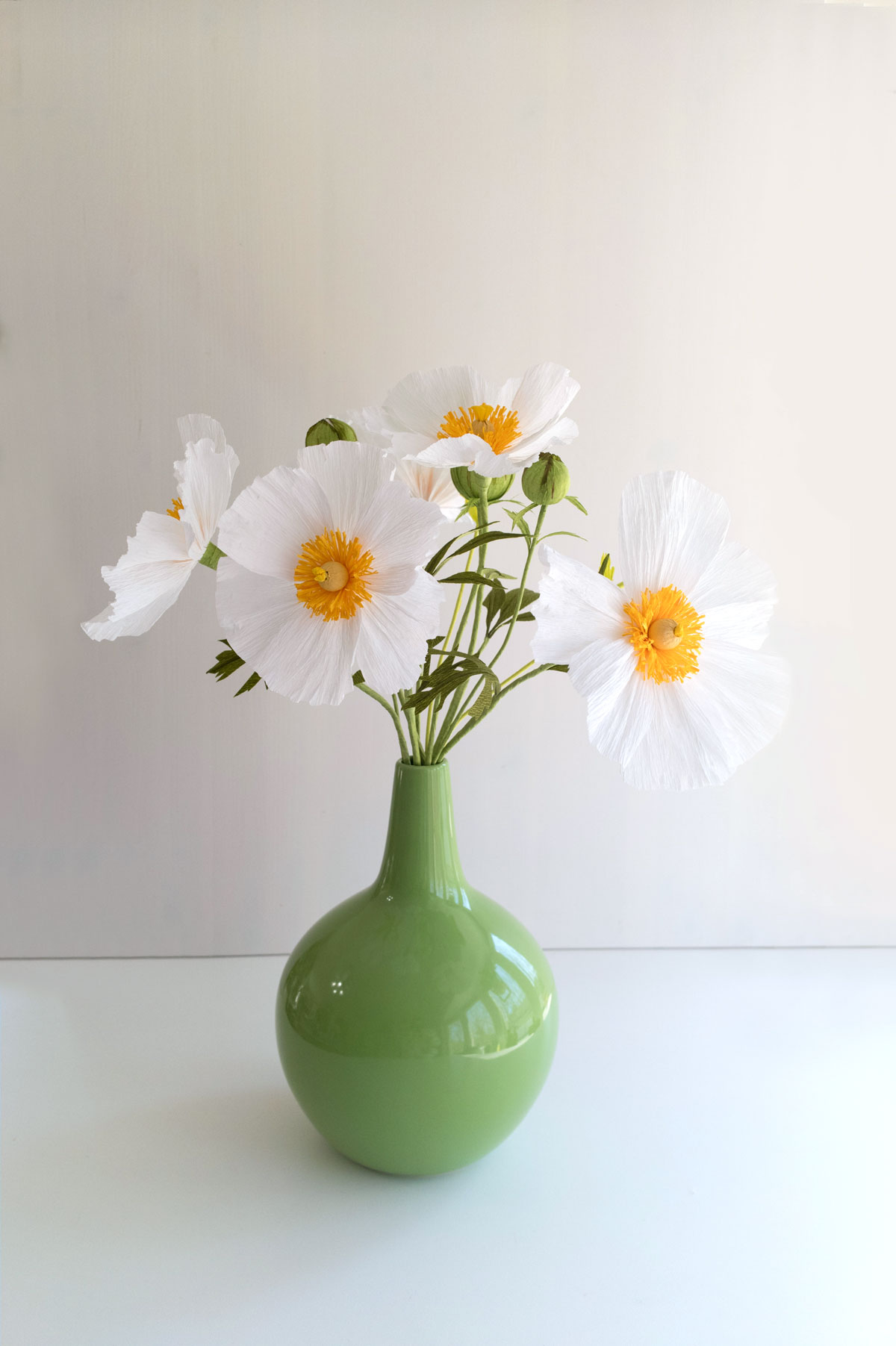 Matilja Poppies (referred to as Eschscholzia poppies in the article).