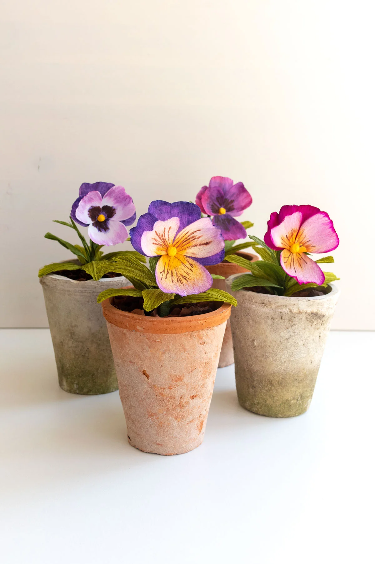 PaperRoseCo_Spring19_0583.jpg