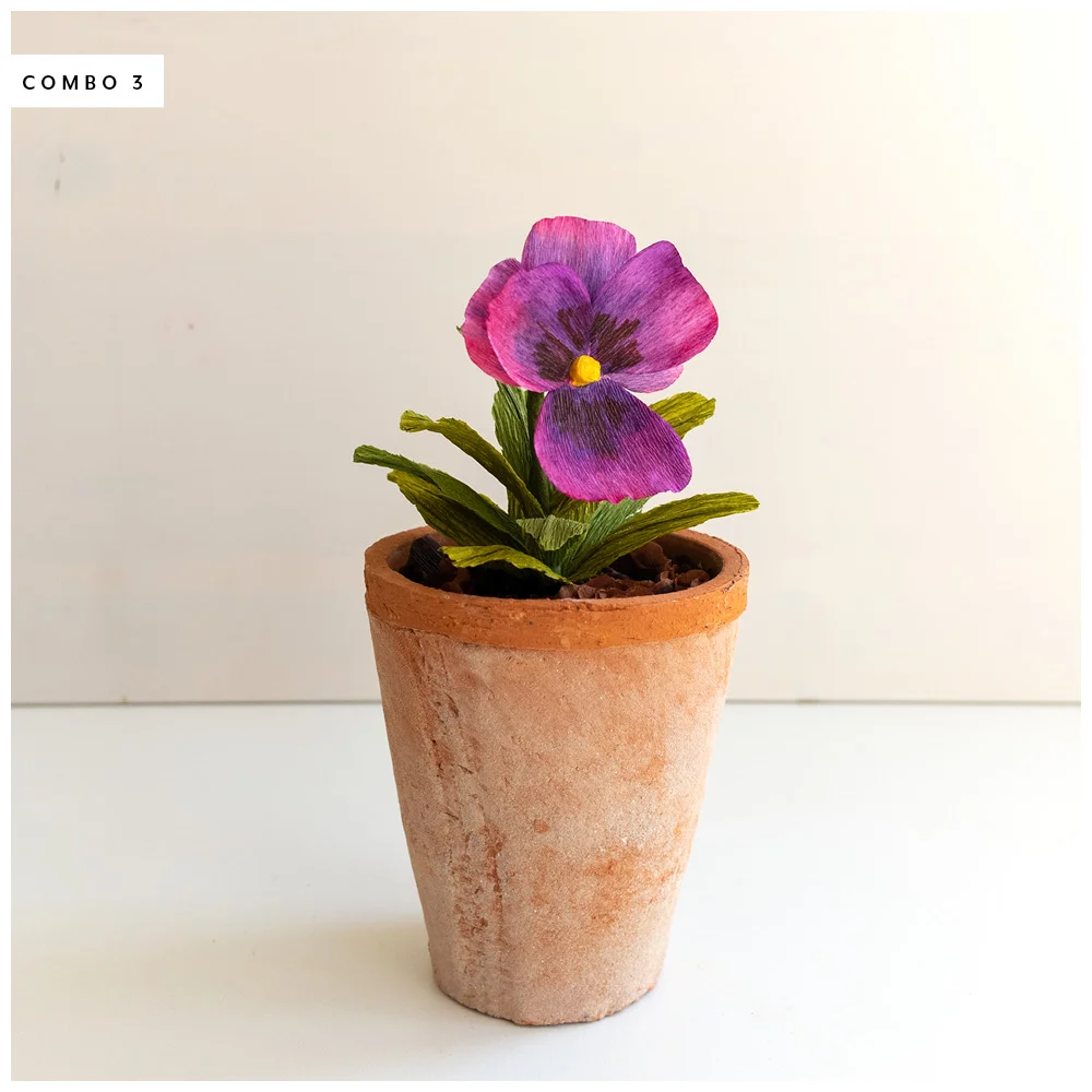 PR_Spring2019_Pansy_3.jpg