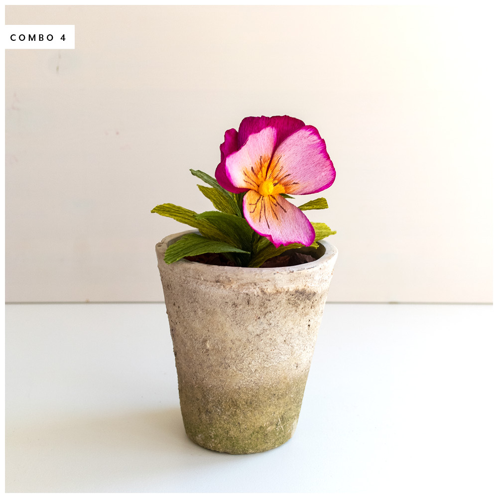 PR_Spring2019_Pansy_4.jpg