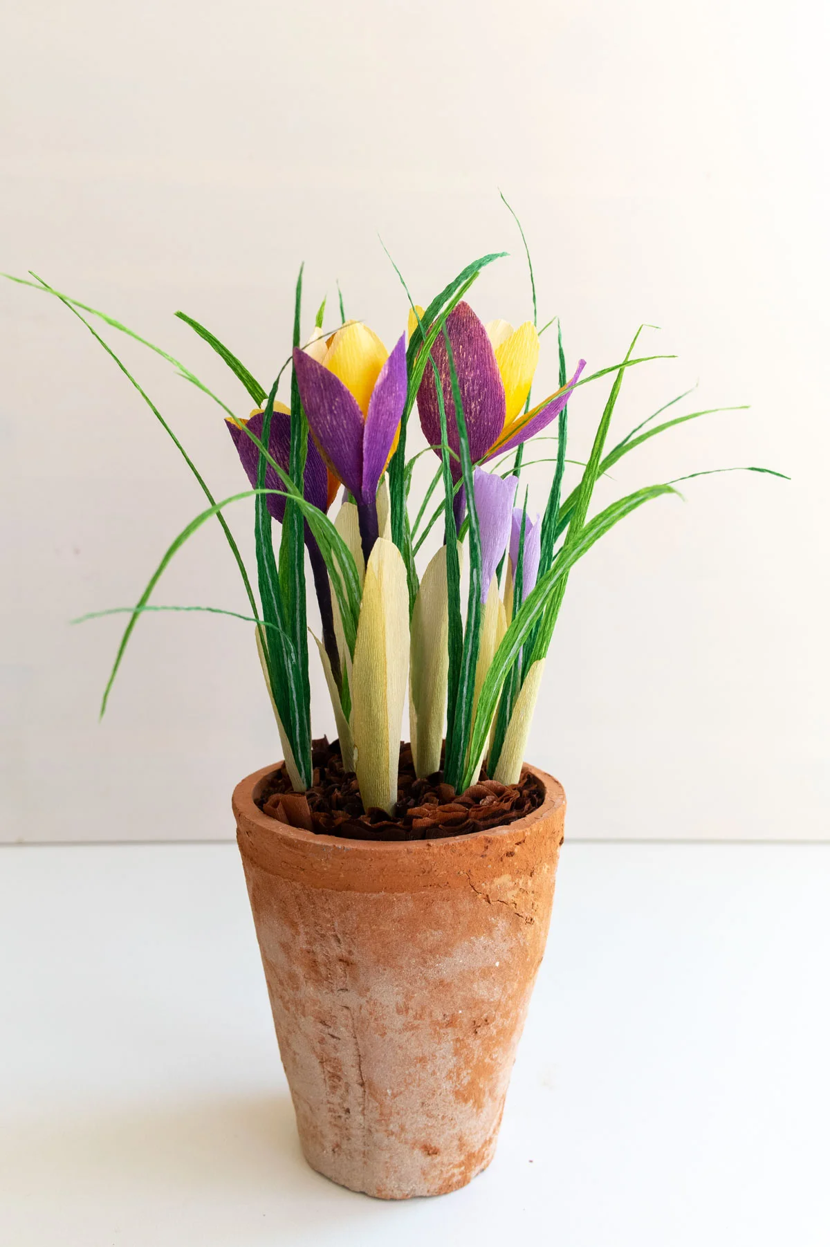 PaperRoseCo_Spring19_0544.jpg