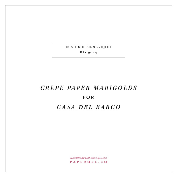 Casa del Barco_2.jpg