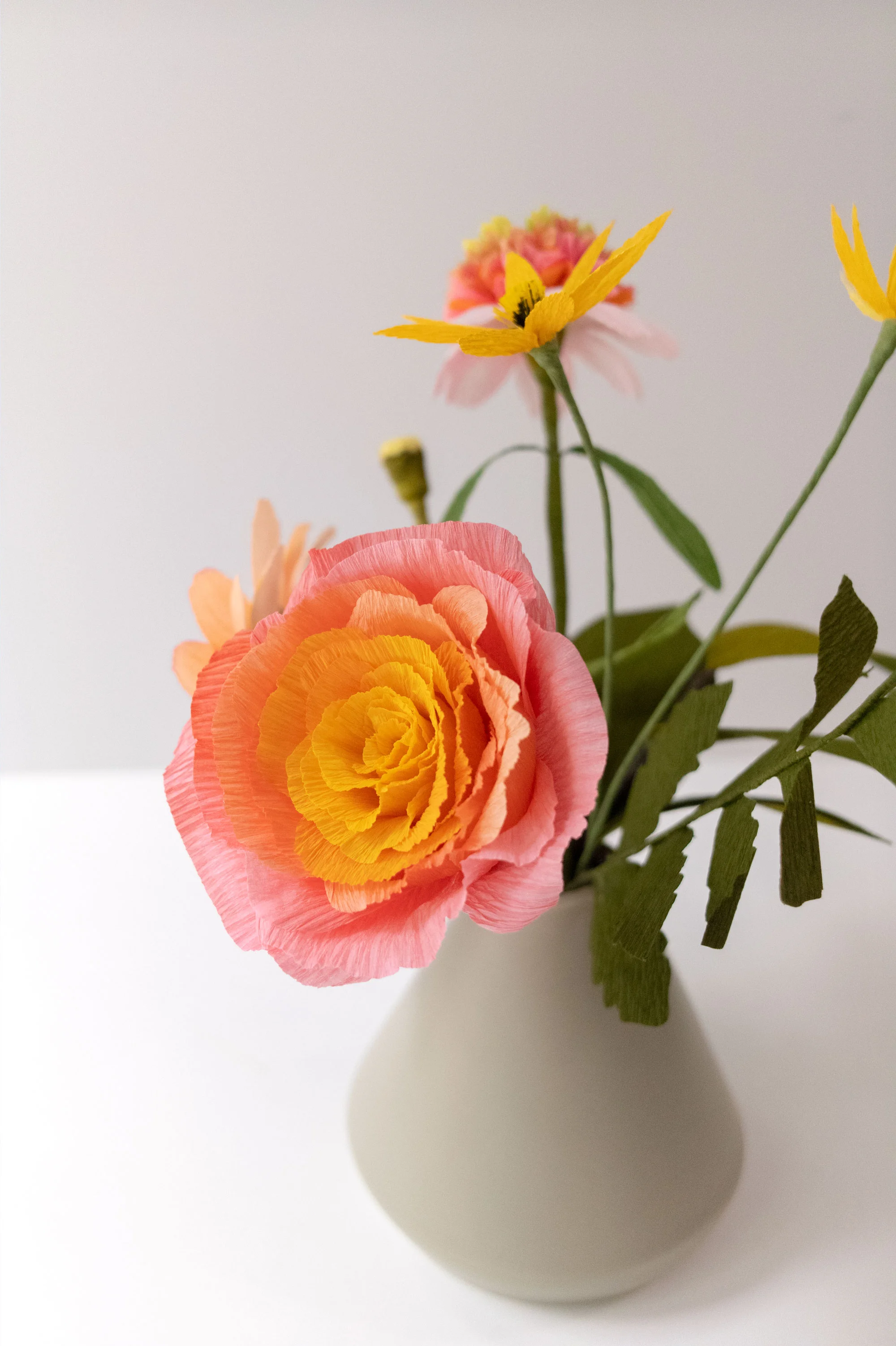 PaperRoseCo_Fall_19_1_5250.jpg