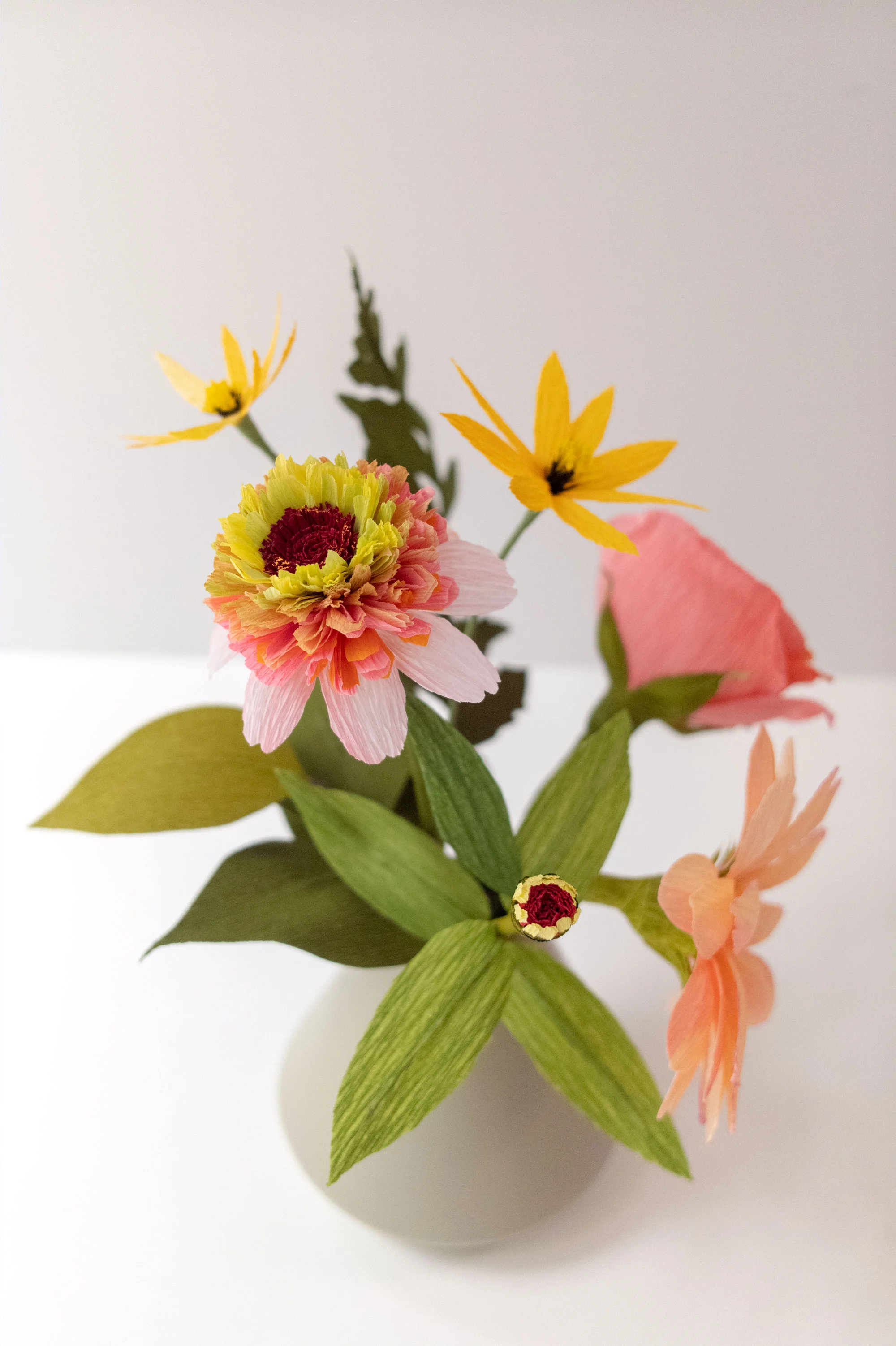 PaperRoseCo_Fall_19_1_5253.jpg