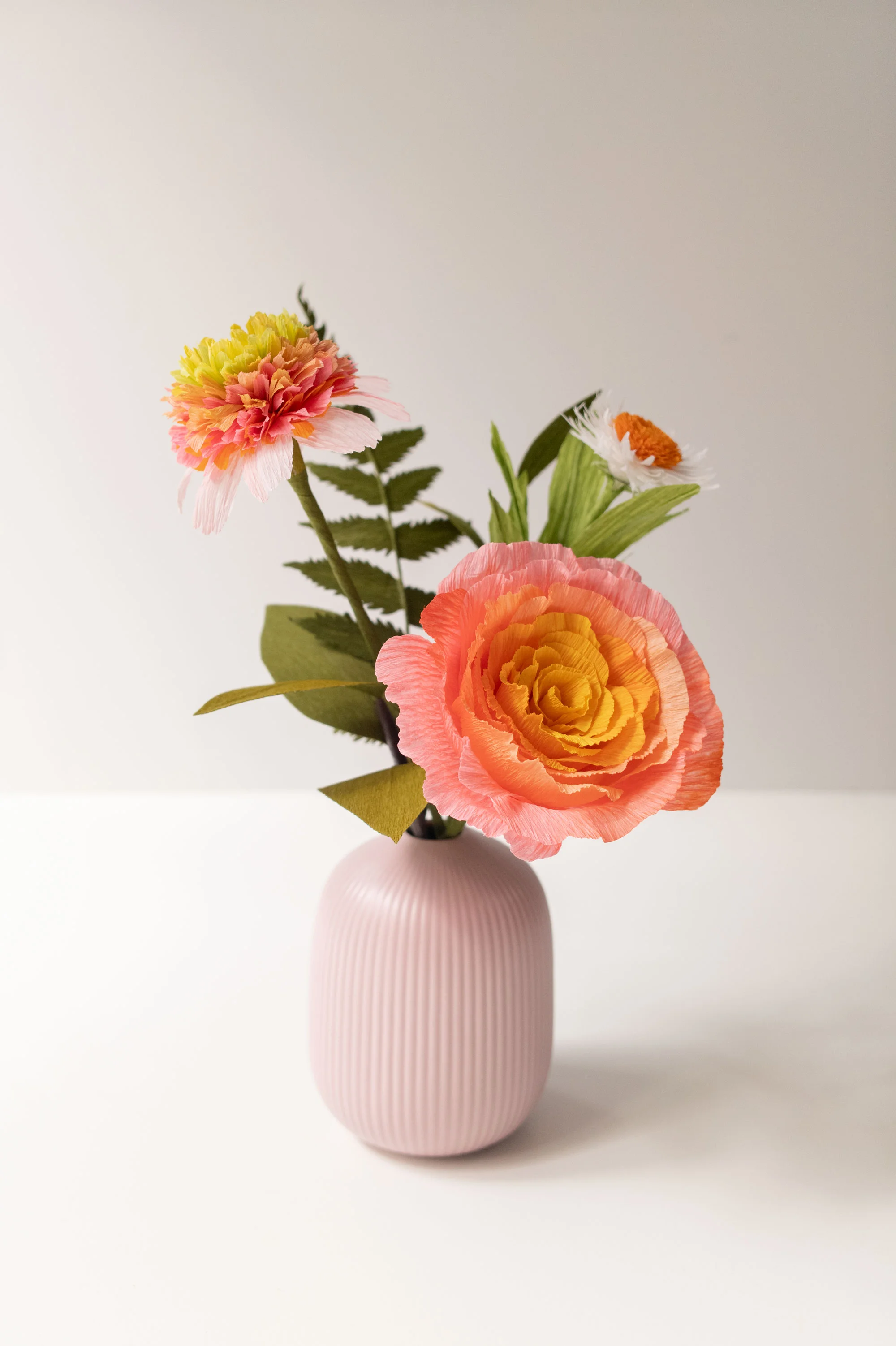 PaperRoseCo_Fall_19_6_5346.jpg