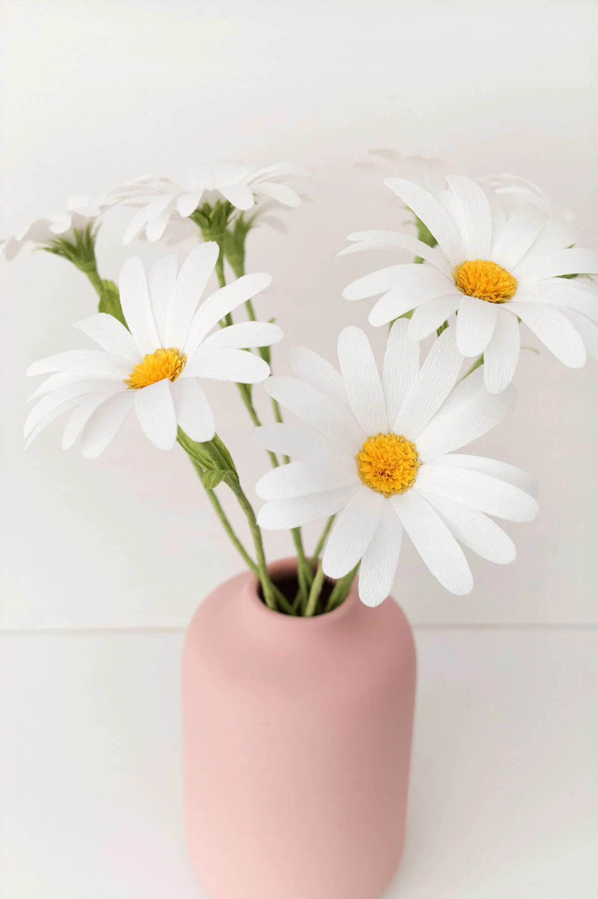 Daisy Stems
