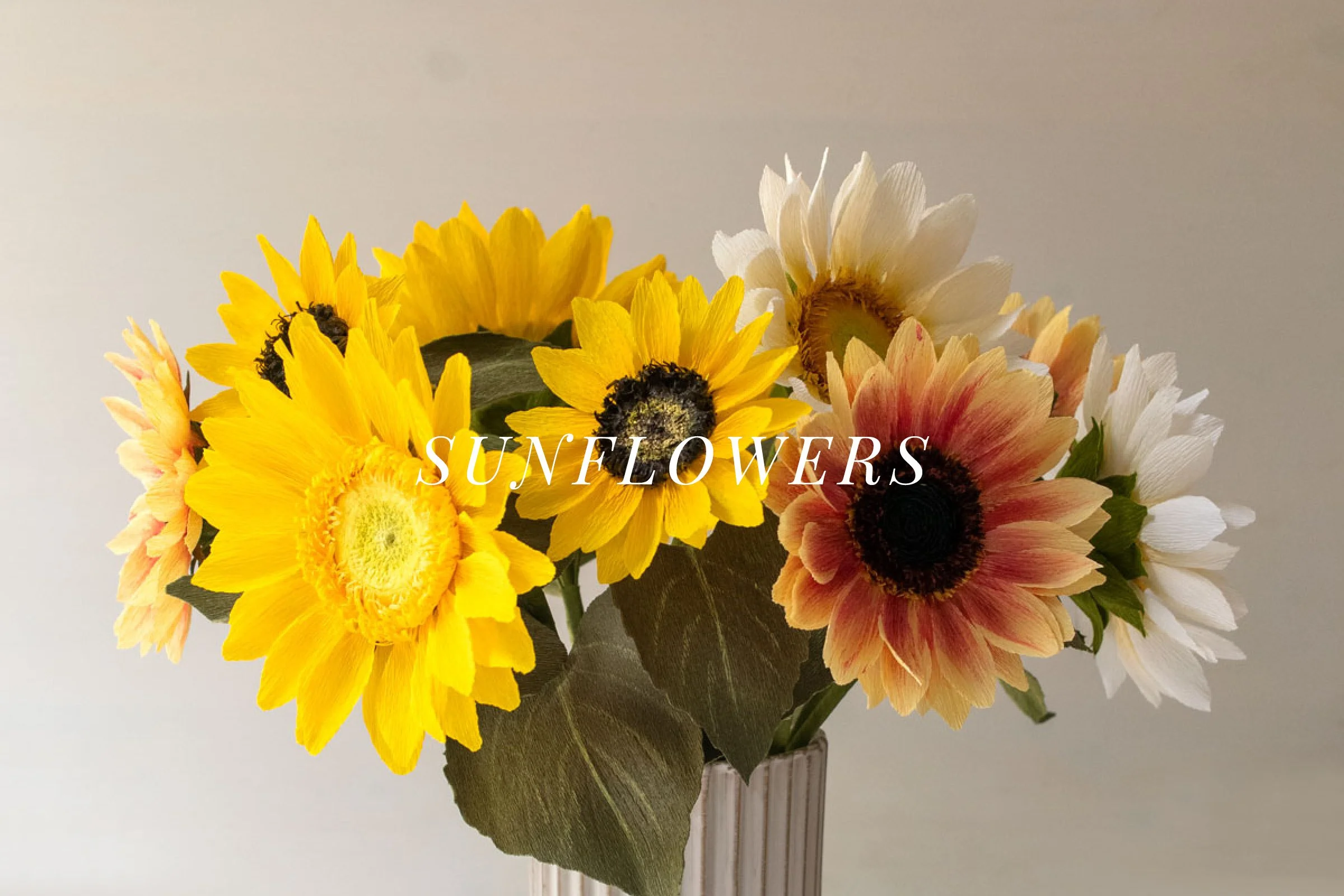 Sunflowers