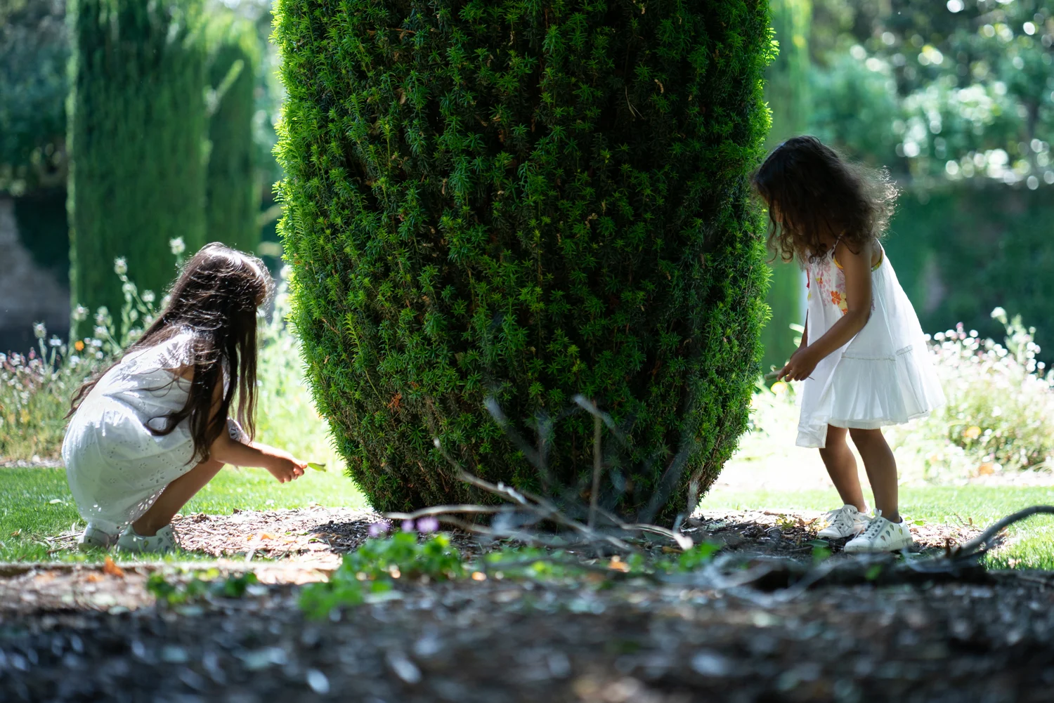 Two sisters in the garden
