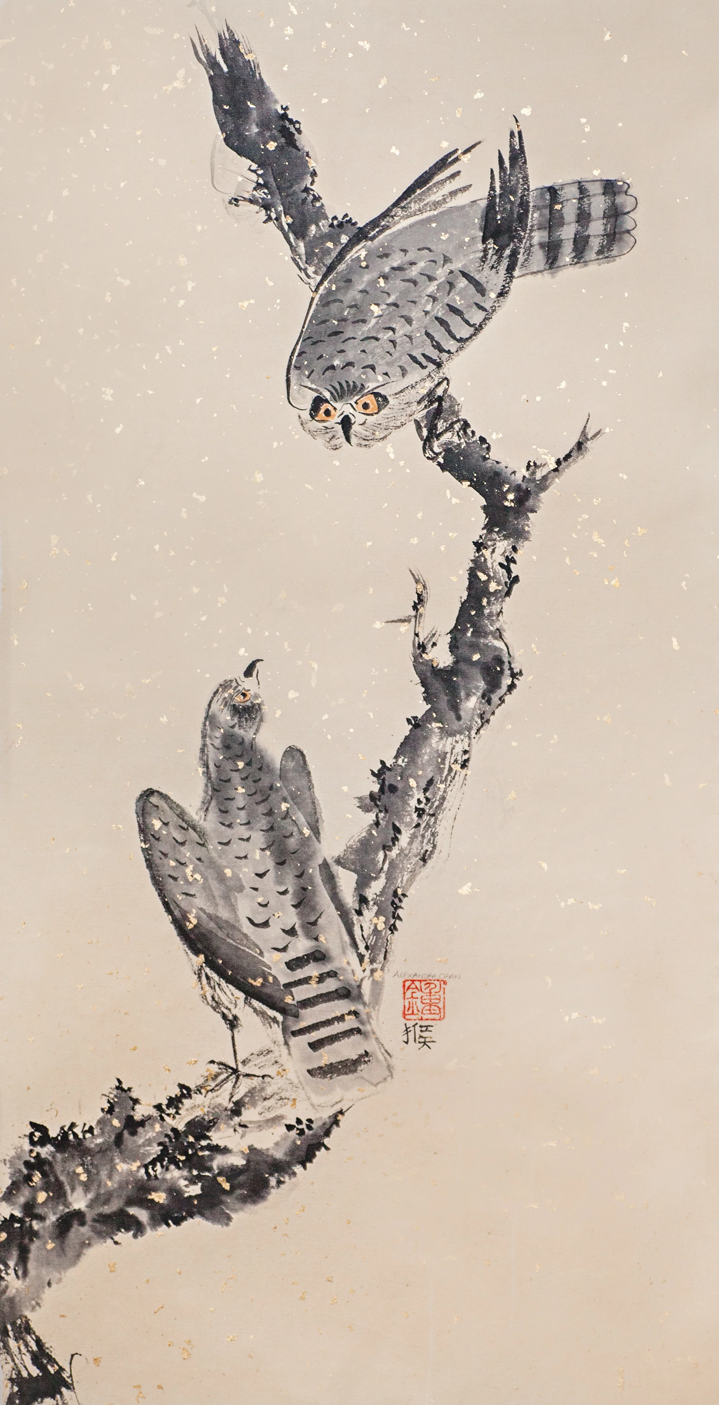 Two Eagles on a Branch