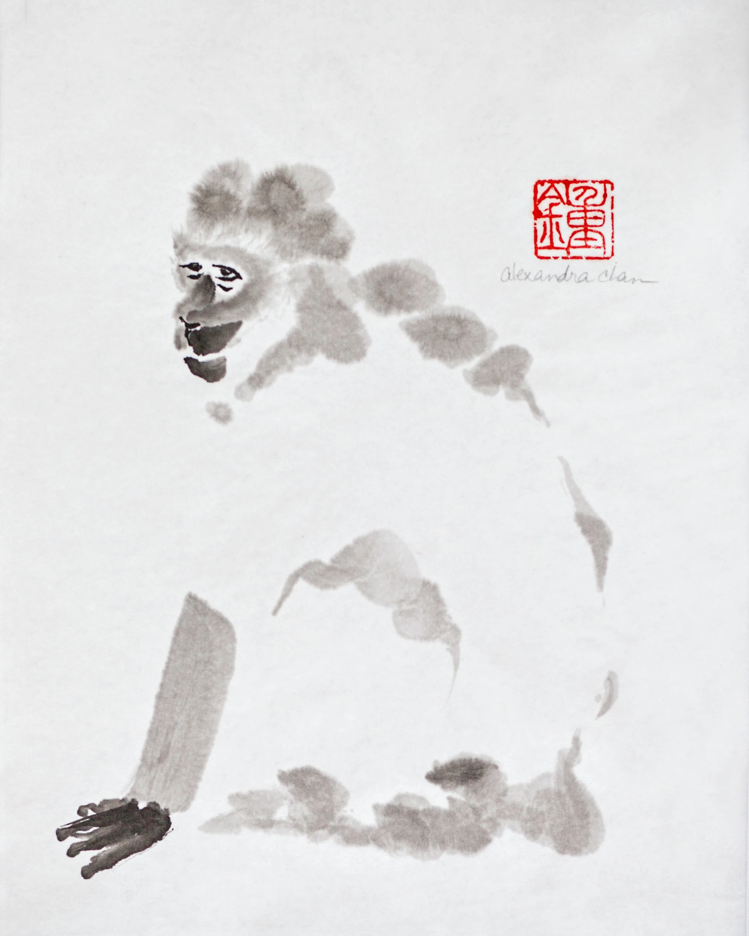 Monkey