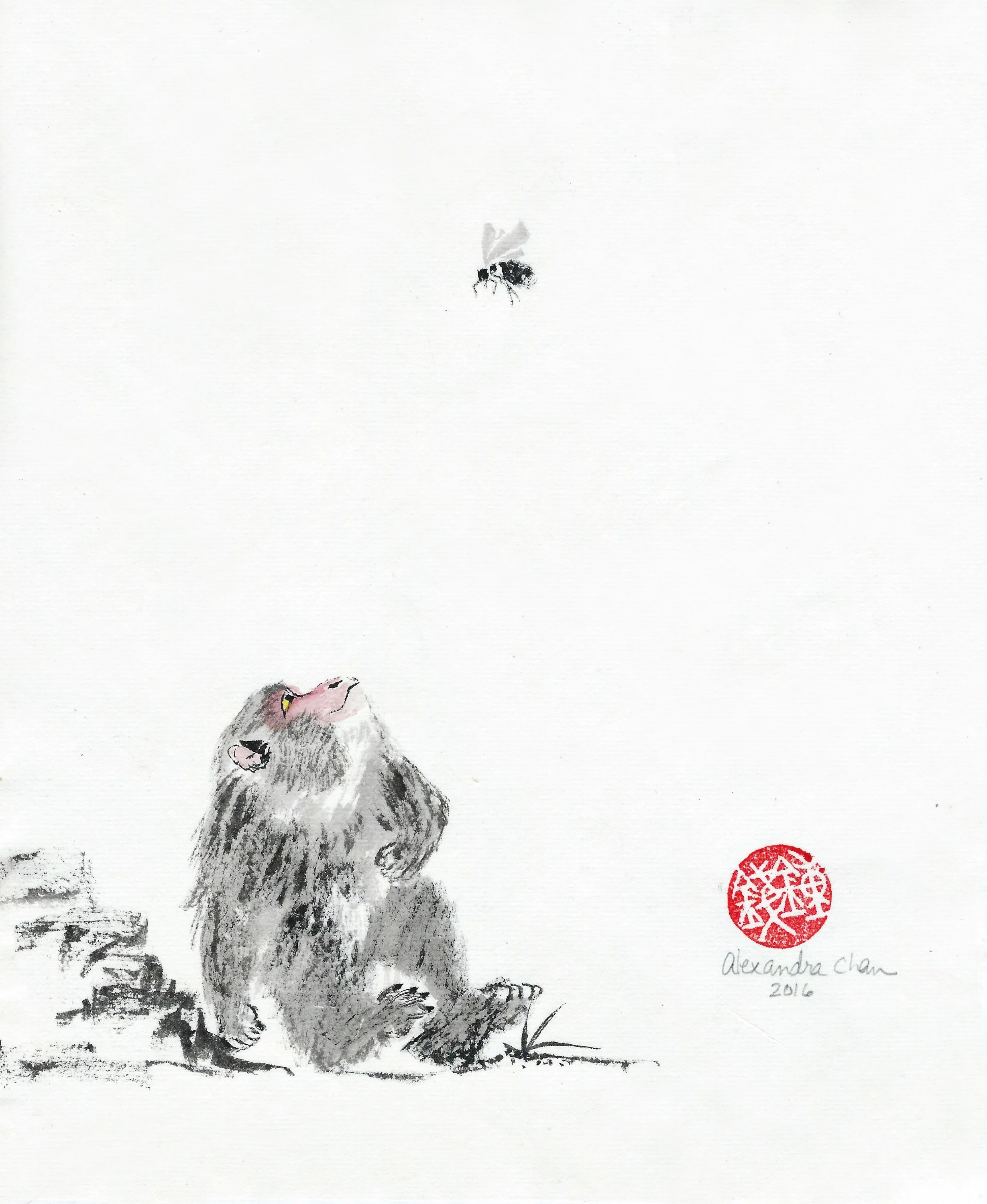 Monkey and Insect