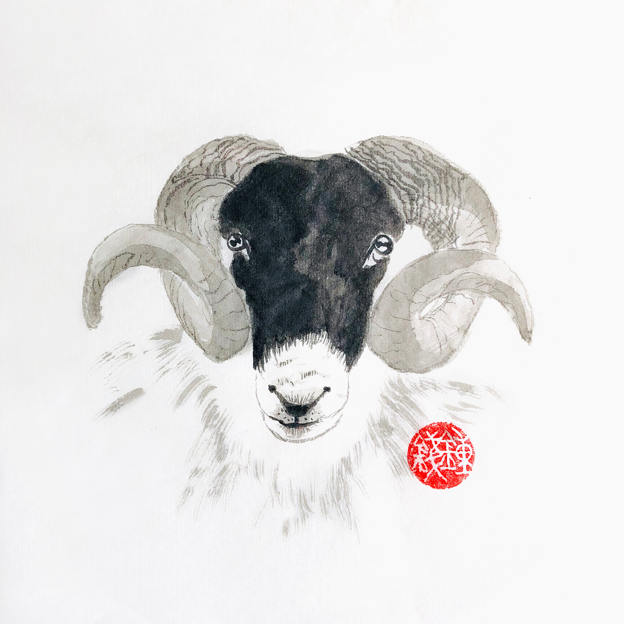 Ram 2.jpg