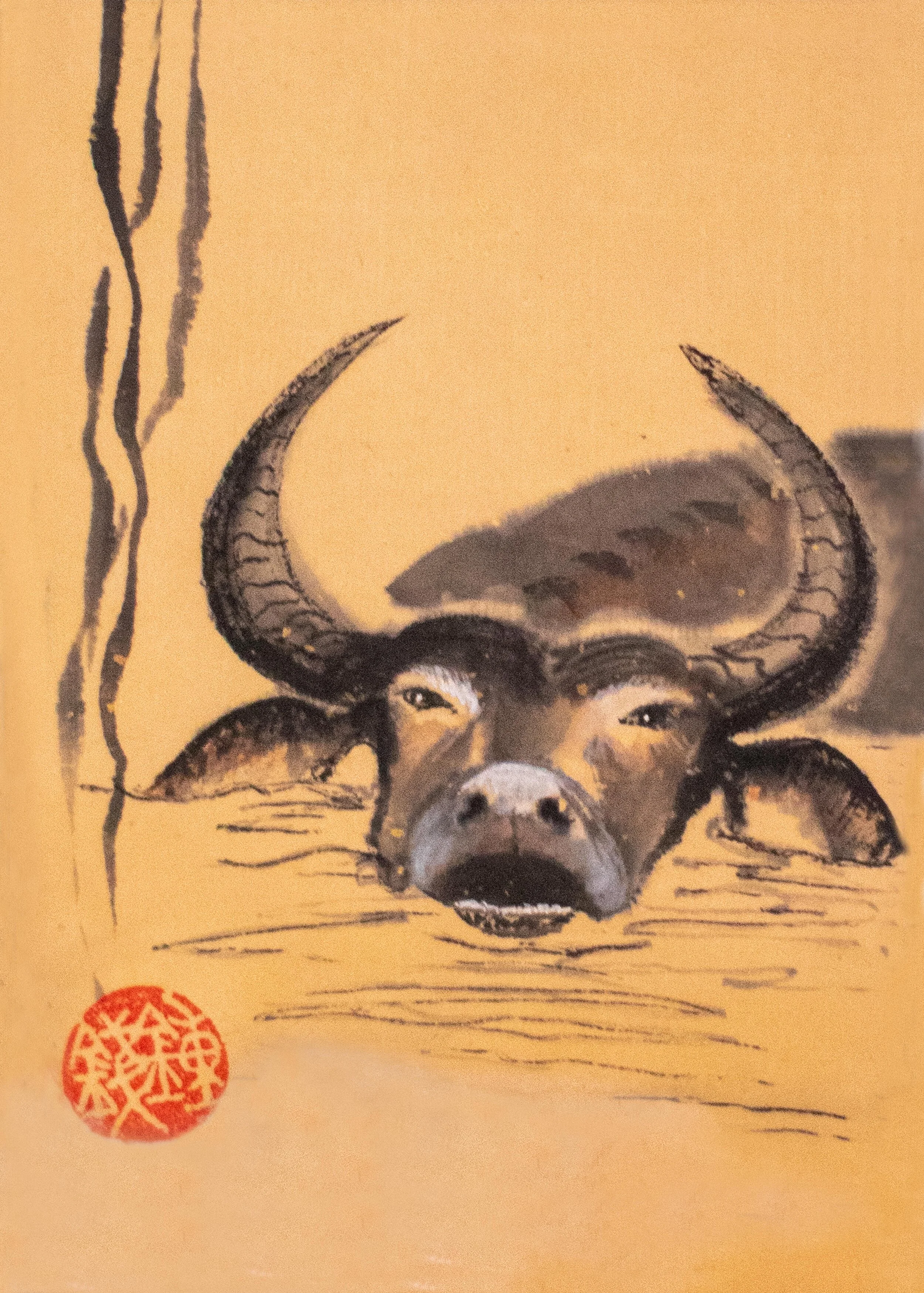 Ox in Water - 5 x 7.jpg
