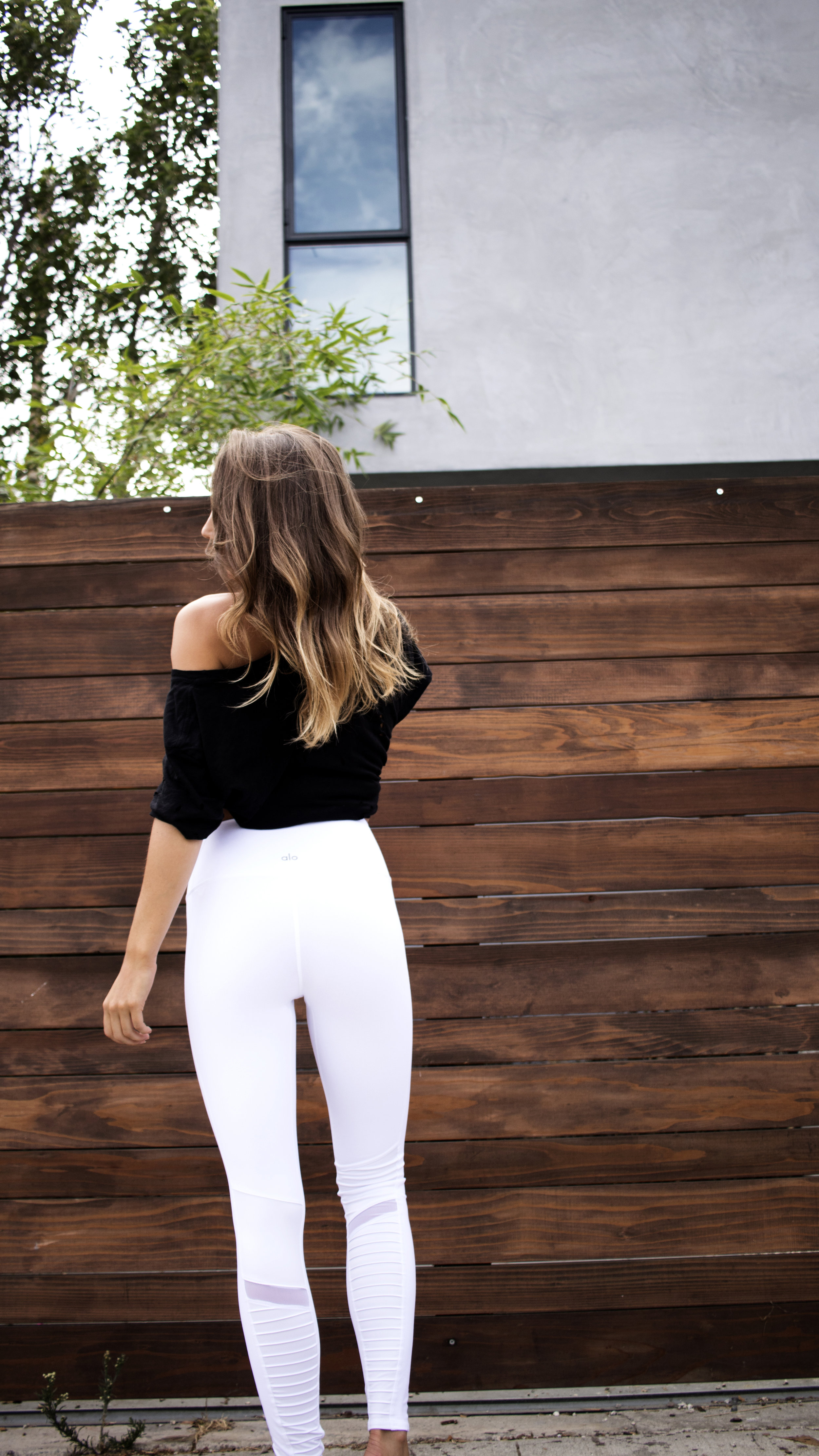 AloMotoWHT8.jpg