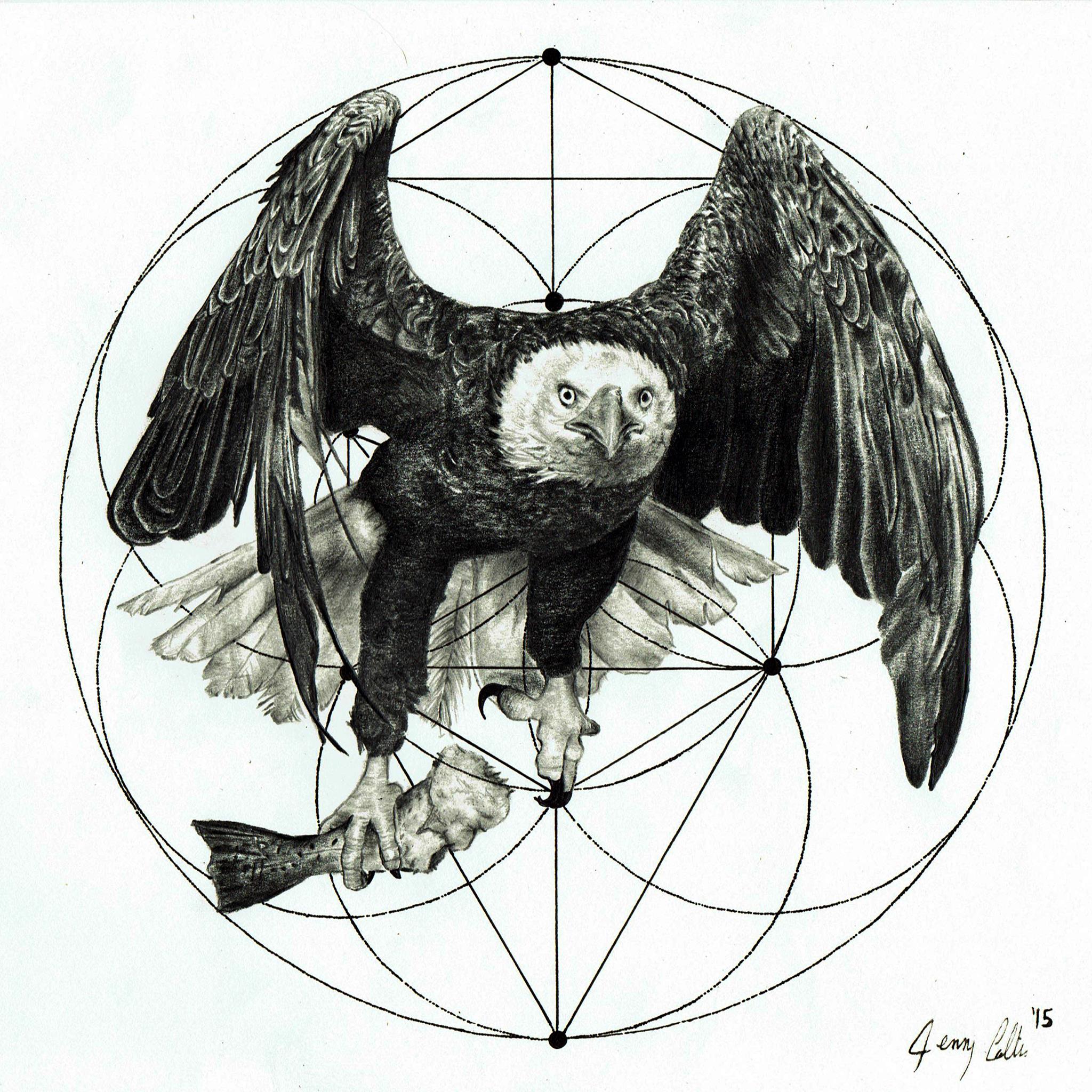 8eagle.jpg