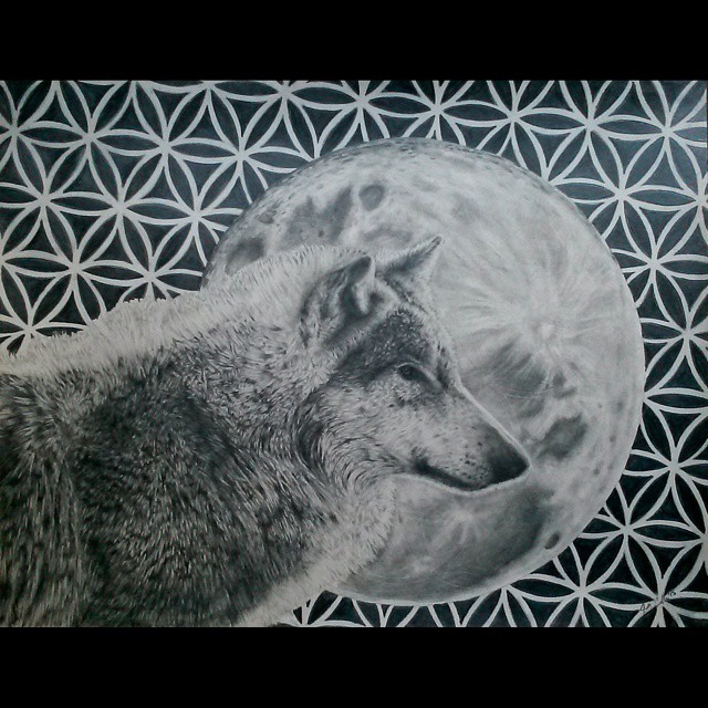 10wolf.jpg