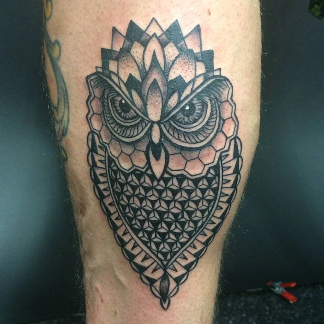 11owl.jpg