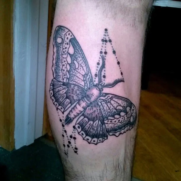 23mothdots.jpg