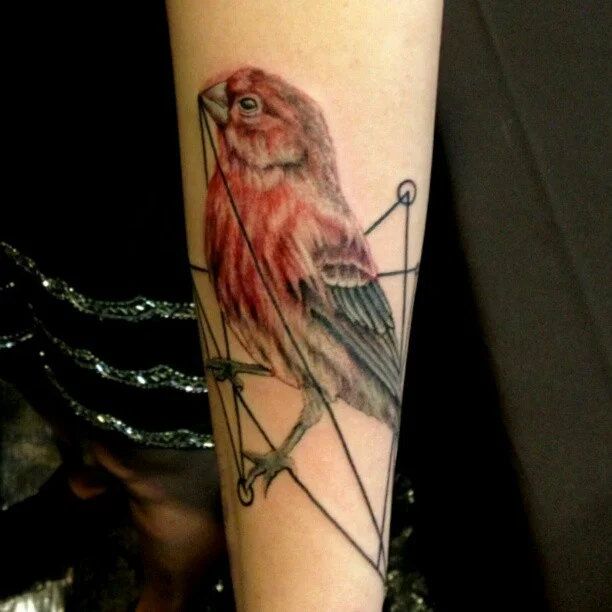26ashabird.jpg