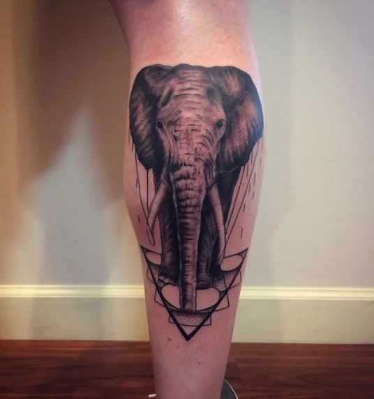 elephantgeo.jpg