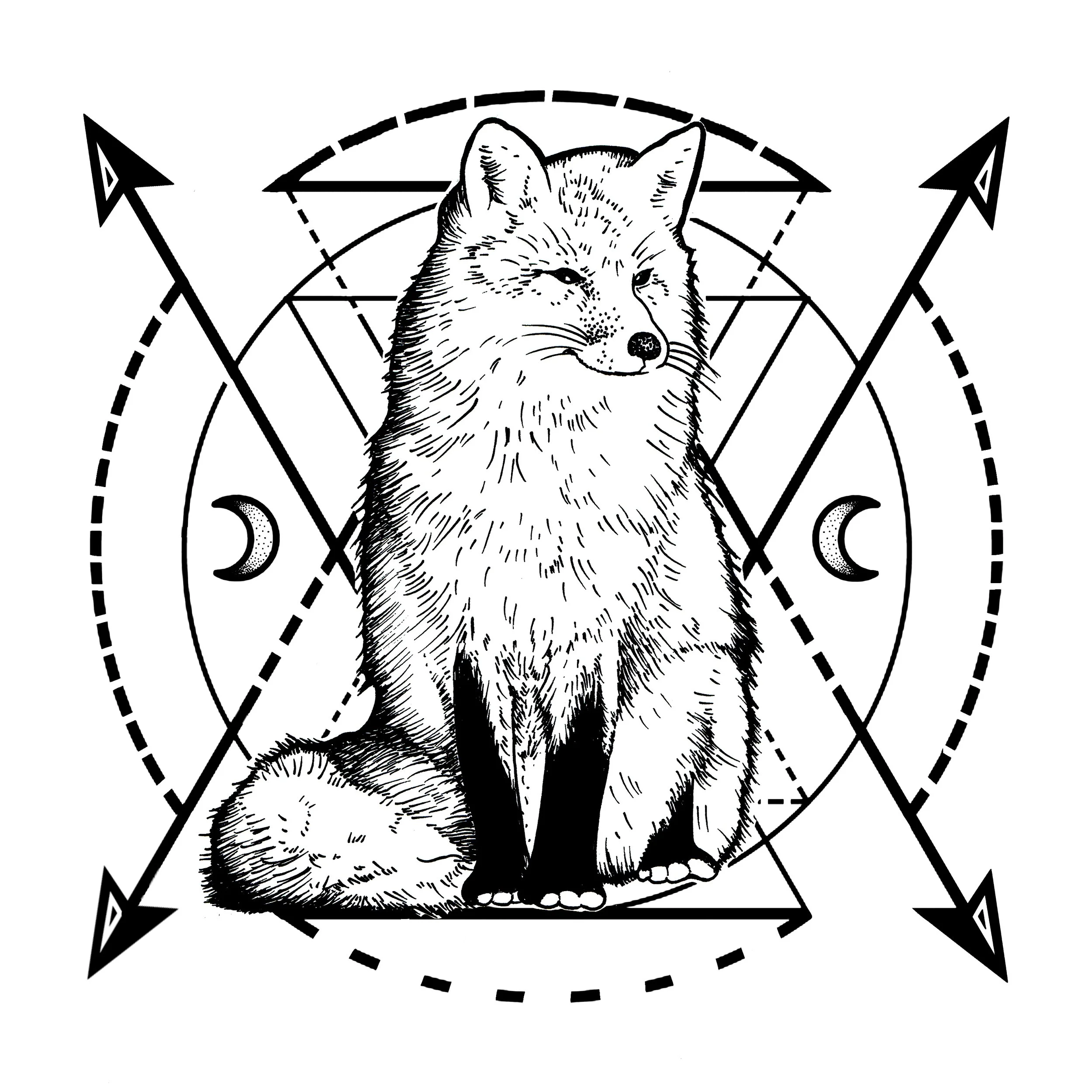 Fox Round 2.JPG