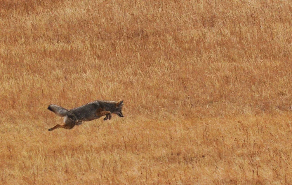 DSC_0087_01.jpg