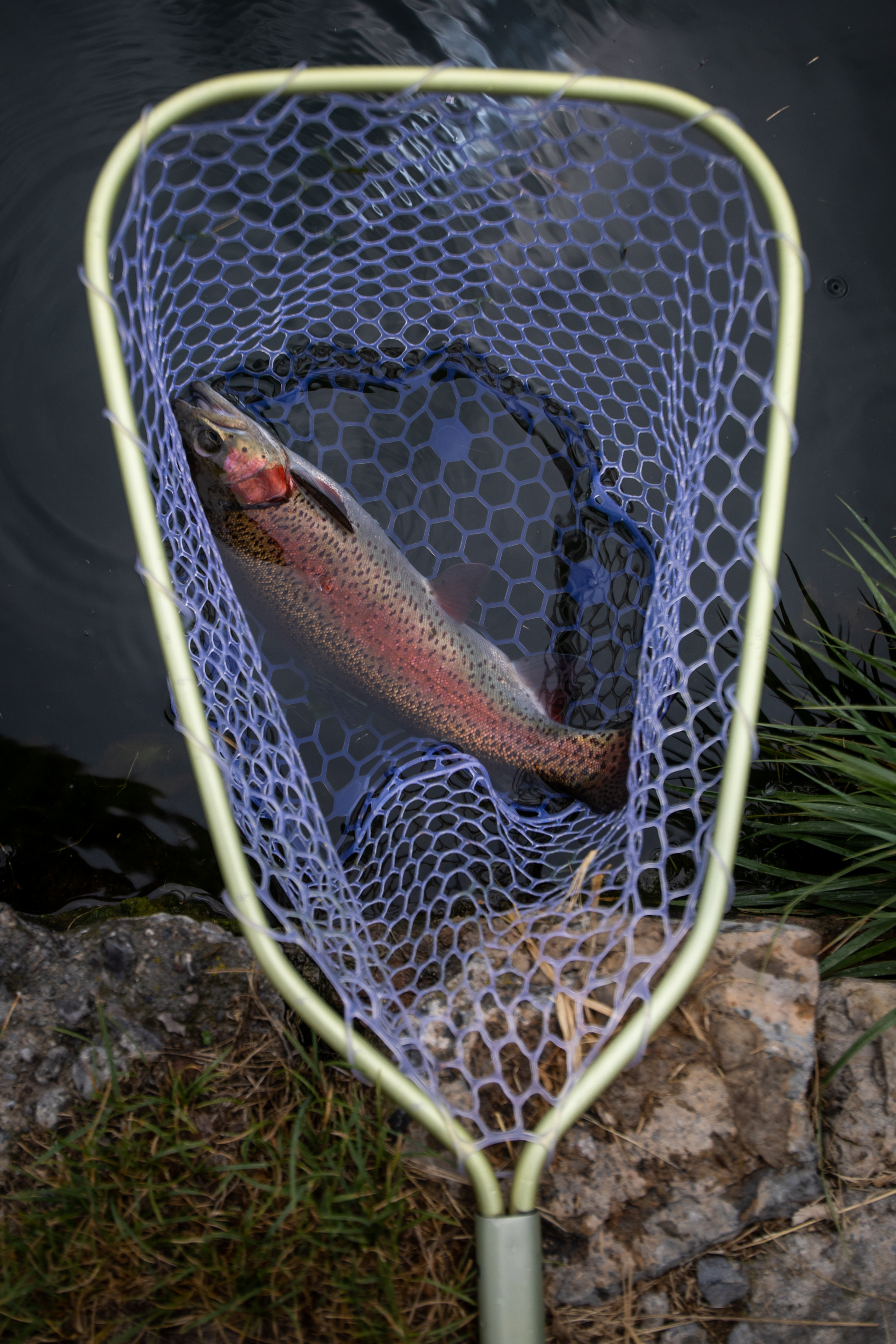  Utah foster care children net trout on a pond on Saturday, July 14, 2018, in Smithfield. The fly fishing outing was one of several this summer that was part of The Mayfly Project, a national non-profit that uses fly fishing to mentor foster care chi