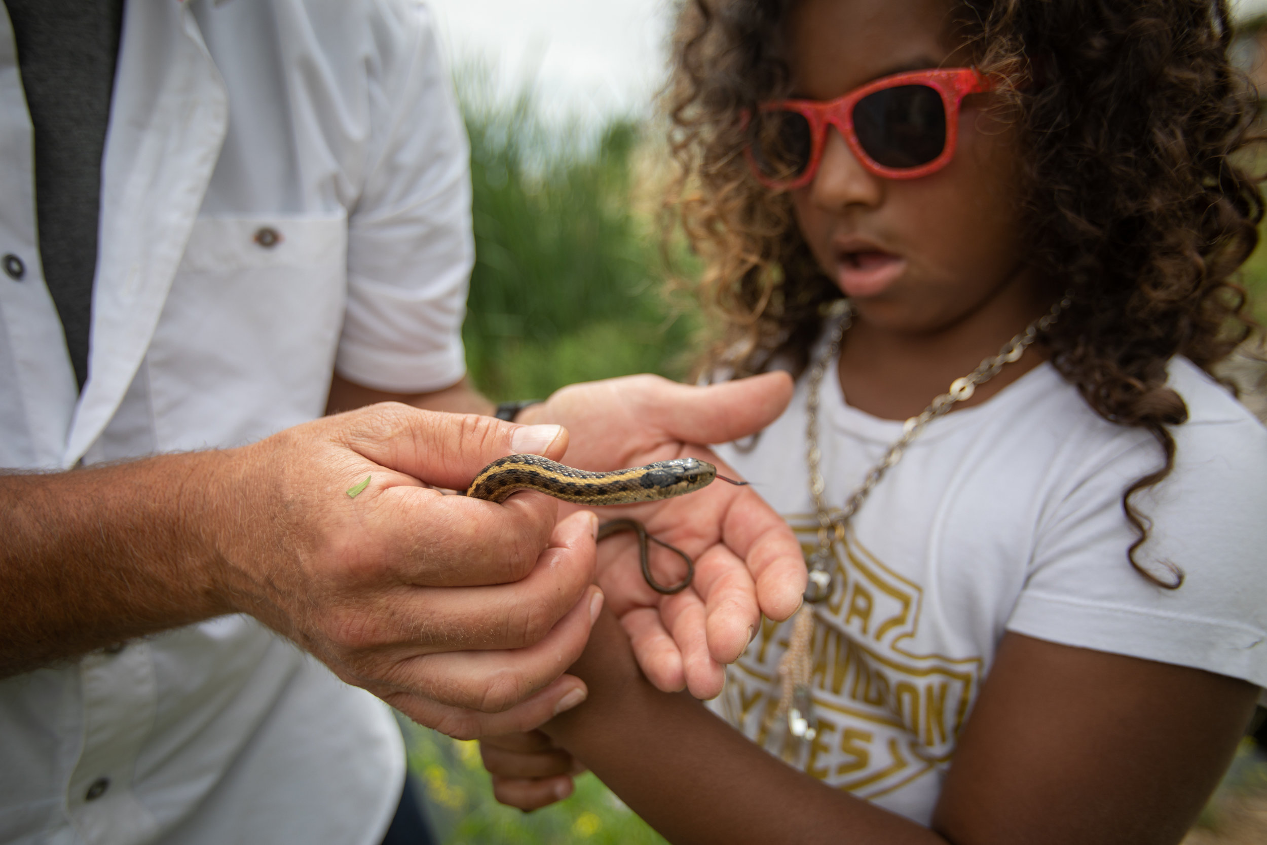  Mariah, 9, pets a snake that was found in the grass by mentor, Dan Weber at a trout pond on Saturday, July 14, 2018, in Smithfield. This was one of several summer fly fishing outings with The Mayfly Project, a national non-profit that uses fly fishi