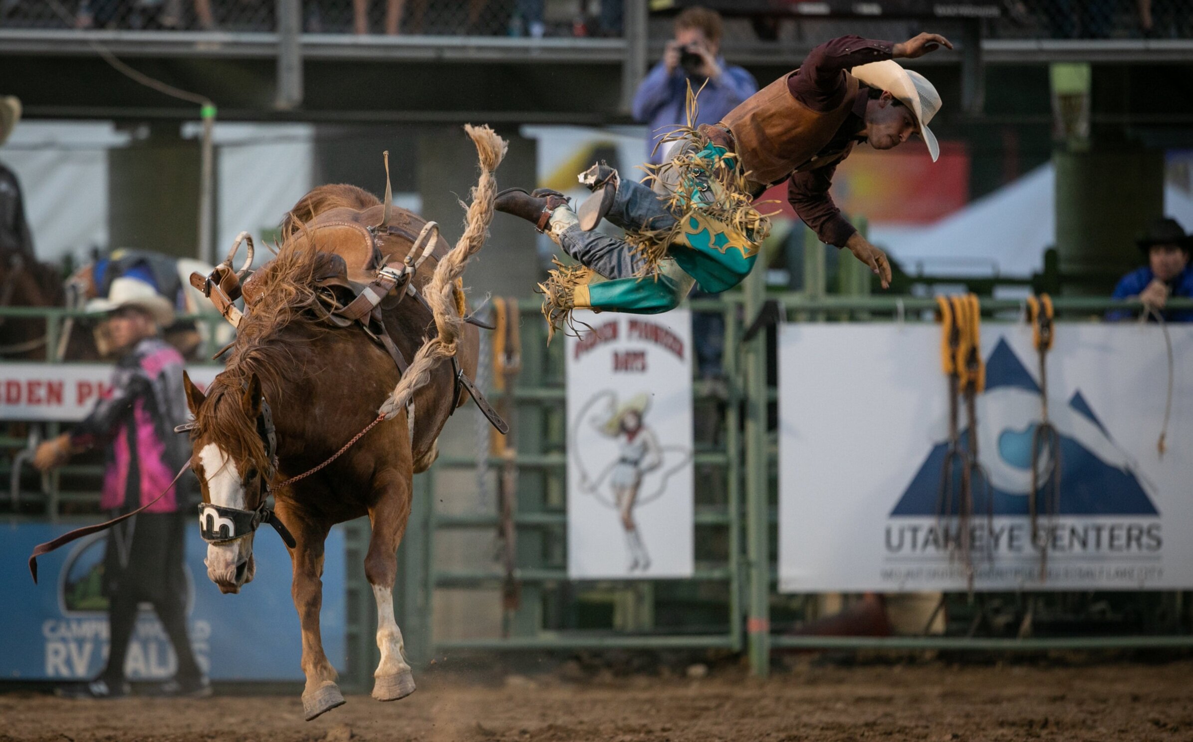 Saddle Bronc Rider