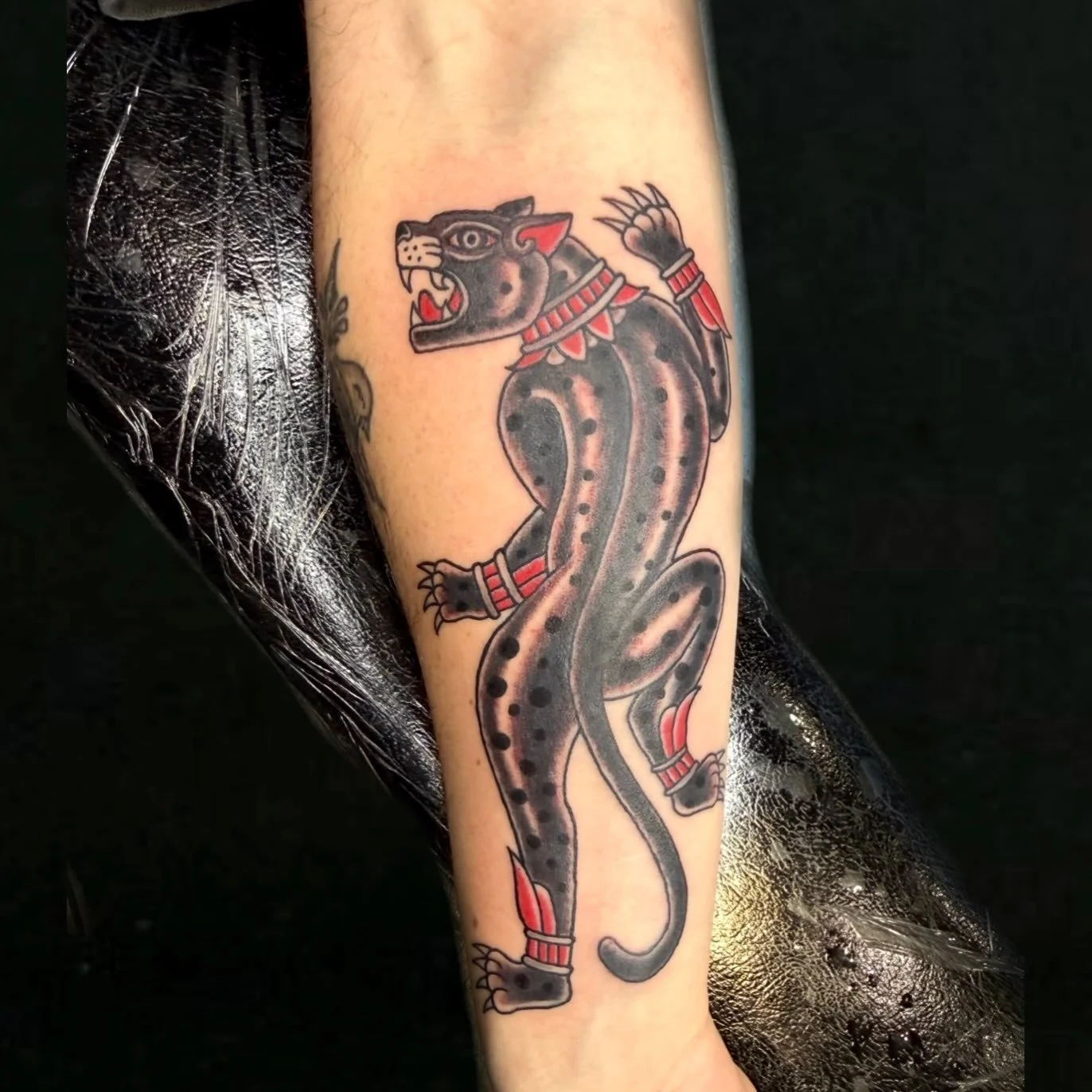 Jaguar by @therealericjones