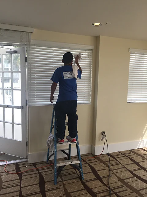 Bio-washing down all surFaces