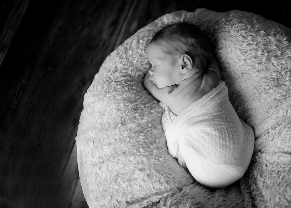 WEB Faith BW on belly in bowl.jpg