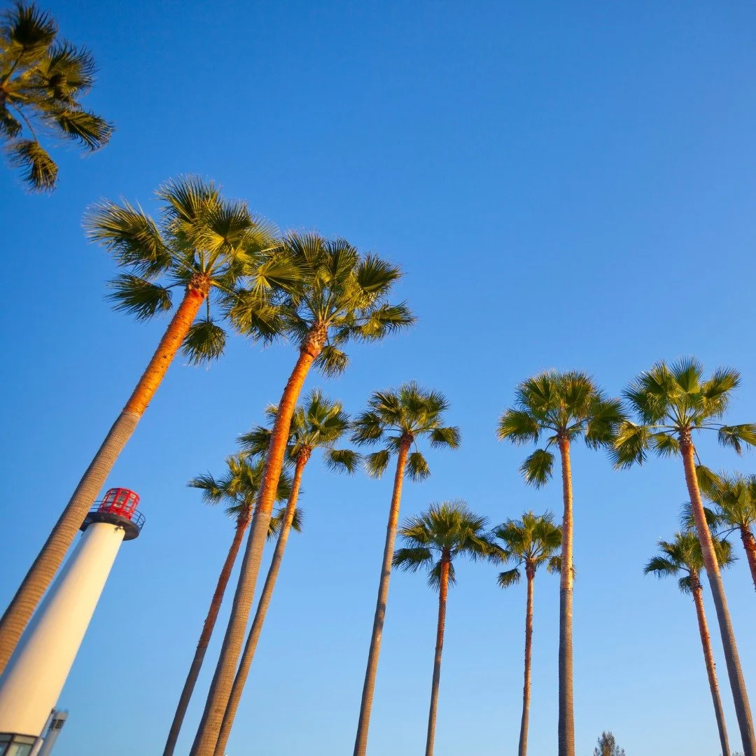 Serving Long Beach, neighborhood by neighborhood. 💙
From North Long Beach to Downtown and beyond, the Mayor&rsquo;s Fund is proud to support families, students, providers, and communities across our city.