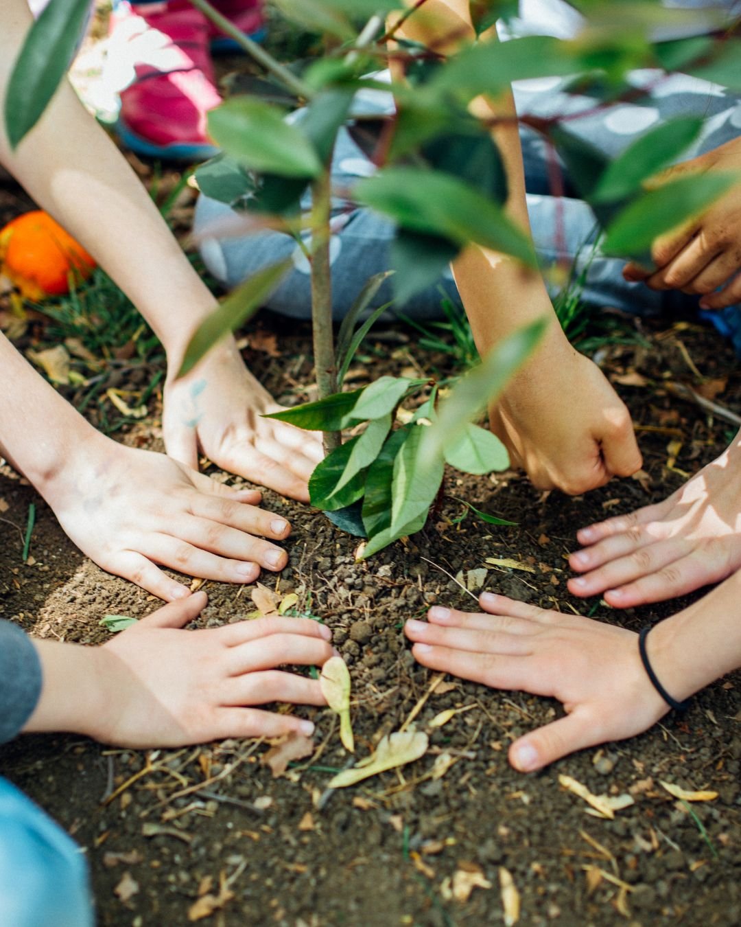 Happy Earth Day! 🌎🌿
Caring for our environment is part of caring for our community. We&rsquo;re proud to work alongside partners across Long Beach to support families and create a healthier, more sustainable future&mdash;together.