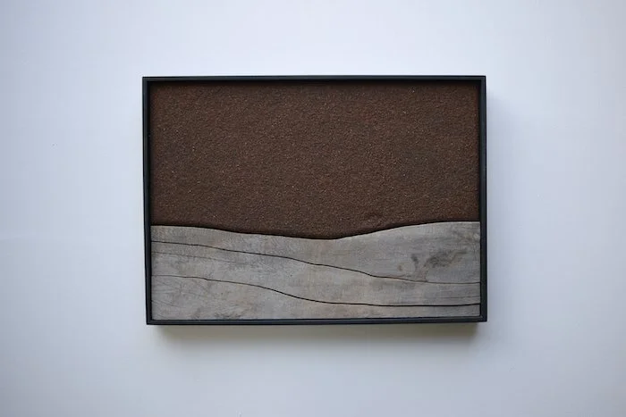  Splits Monterey Cypress, sand , oil on panel 15” x 11” x 1-1/2” 2021 