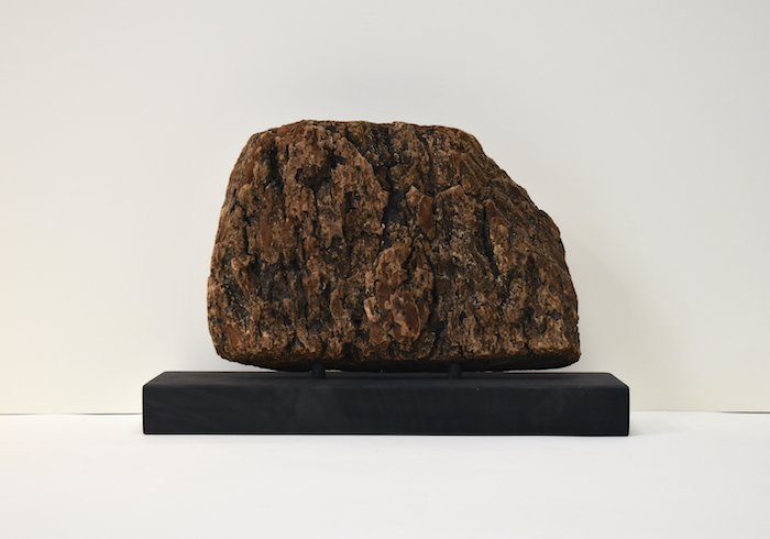  bark  12.5 x 9 x 4”  douglas fir bark, oxidized walnut pedestal   2023 