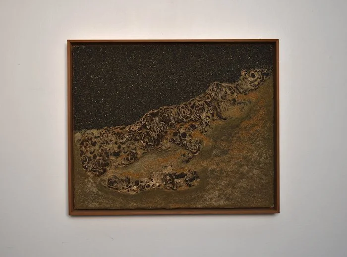  lizard king  13 × 15 1/2 × 2  sand, sediment, bark on panel  2024  $750   