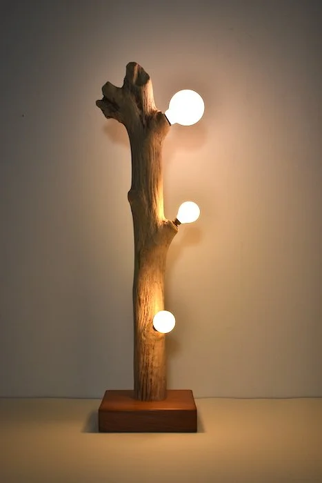  branch table lamp  8 × 8 × 32”  oak branch, redwood base, tala LED bulbs  2025  $600. 