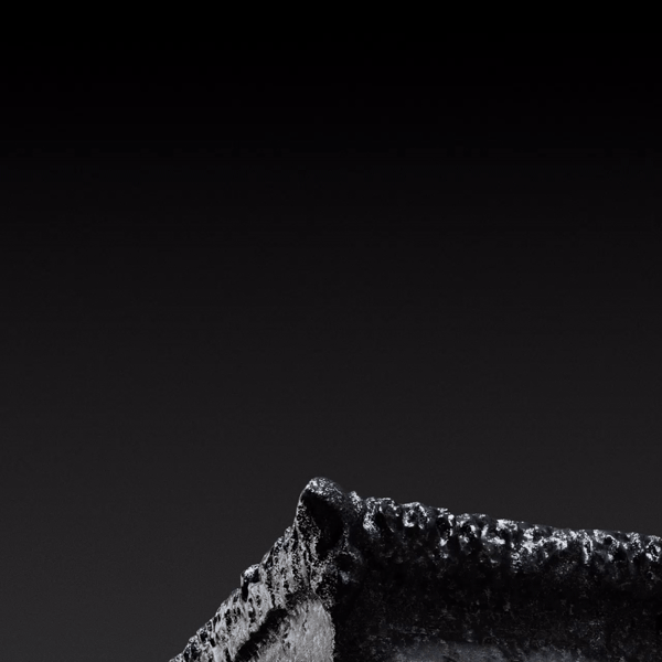 Vrai_creat_A_v002_render.gif