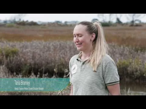Bay Conservation Alliance Video
